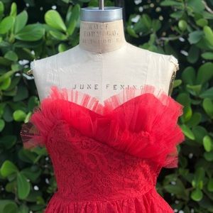 SOLD on ETSY • VTG Rare 50’s Red Tulle Lace Dress